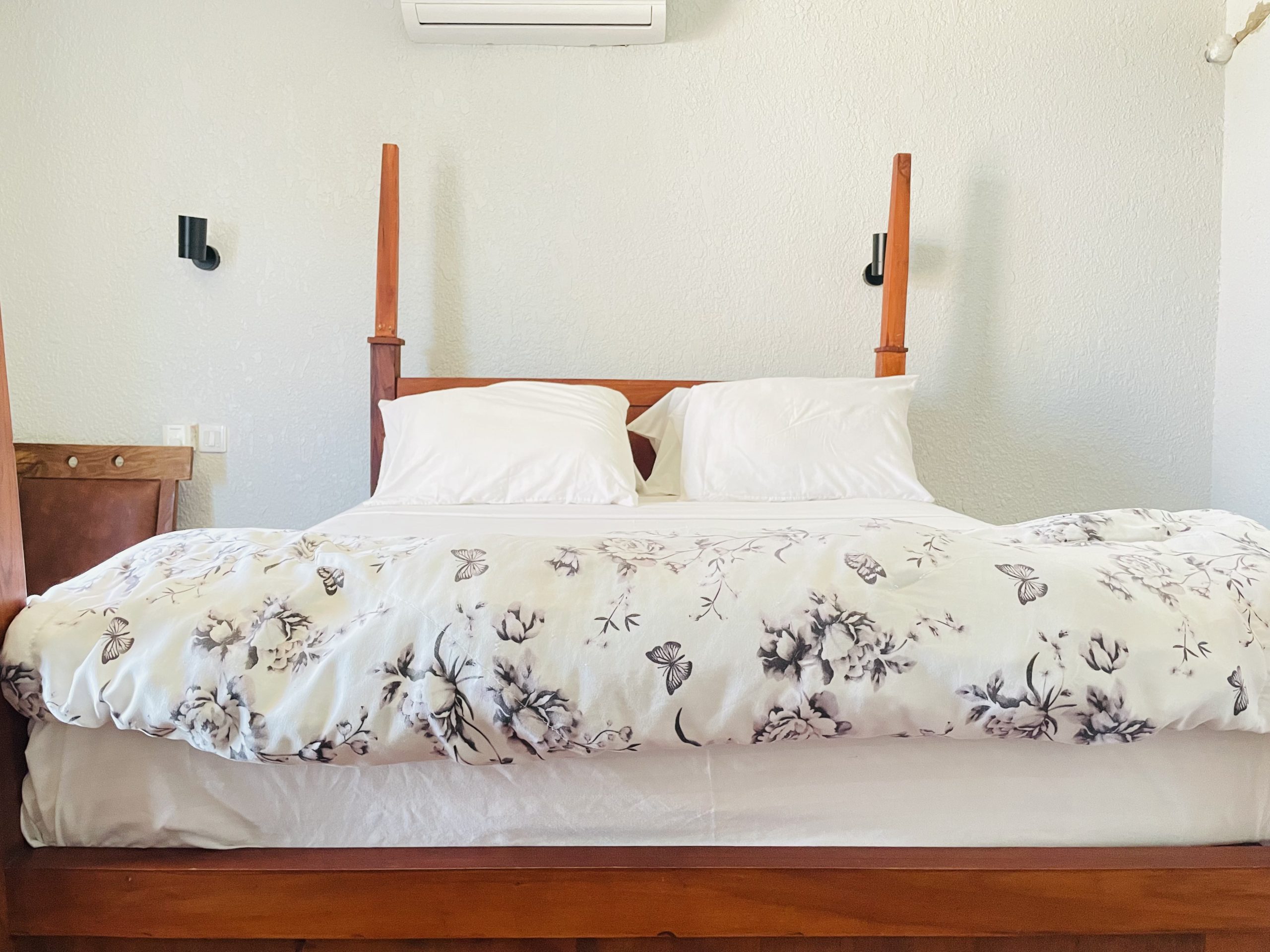 Serene Hotels — palm-lined beachfront